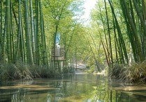 竹溪旅游景点大全，有哪些值得一游的绝美景点？