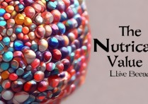 活珠子的营养价值