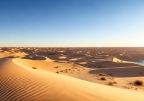 银川沙漠景点有哪些值得一去的推荐？