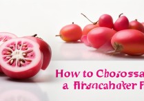 火龙果怎么挑选