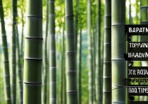 竹山景点排行榜TOP10有哪些必打卡的冷门美景？