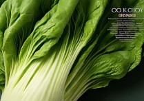 菜心的营养价值及功效