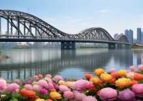 南阳有哪些景点值得去？本地人推荐必打卡清单