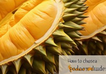 金枕榴莲怎么挑选