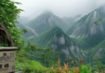 广东爬山景点推荐，有哪些适合新手又风景好的路线？