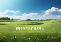 成都最近新开的草原景点有哪些？交通门票攻略全吗？