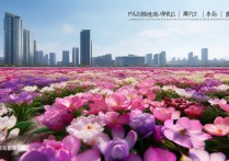 上海花海旅游景点有哪些免费开放的好去处？