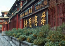 兴城旅游景点盘点，有哪些地方值得一游，隐藏的绝美景点是哪些？