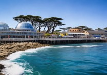 蒙特雷有哪些必去景点？当地小众打卡地推荐？