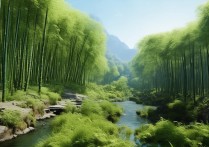 大竹景点中隐藏的神秘古迹，游客们为何纷纷探寻？