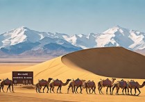 阿拉善有哪些适合自驾的小众景点？