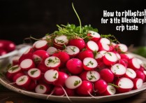 腌萝卜怎么腌好吃又脆