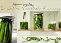 黄瓜怎么腌制又脆又好吃
