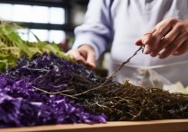 怎么挑选紫菜