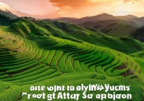 红河元阳梯田旅游，这世界级的自然景观，你为何还未一睹其魅力？