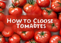 西红柿怎么挑选