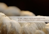 蚕蛹的营养价值与功效