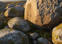 石林景区景点有哪些必打卡的隐藏玩法？