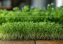 豆苗的营养价值和功效