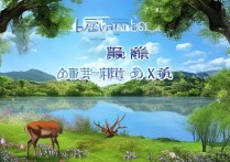 鹿泉新景点开放，这些特色亮点你了解多少？