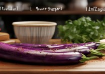 风味茄子的做法