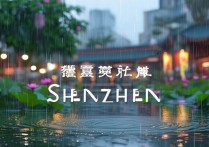 雨天深圳适合游玩的景点有哪些？