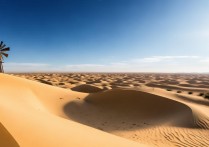 宁夏盐池景点有哪些值得打卡的小众秘境？