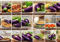 茄子的做法大全