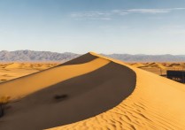 阿拉善盟有哪些值得一游的独特景点？揭秘大漠戈壁中的旅游宝藏！