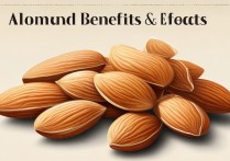 杏仁的功效与作用