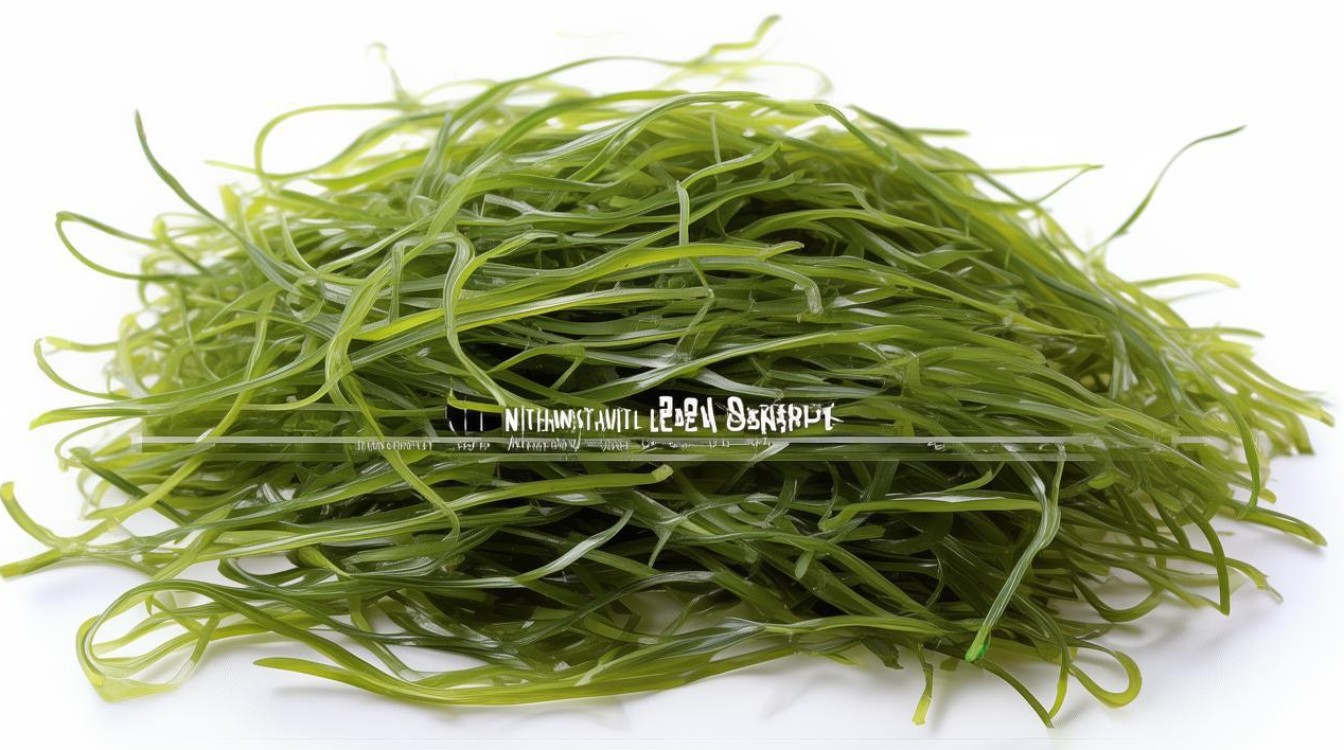 海苔的营养价值