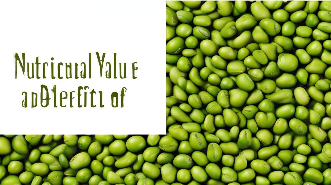 毛豆的营养价值及功效