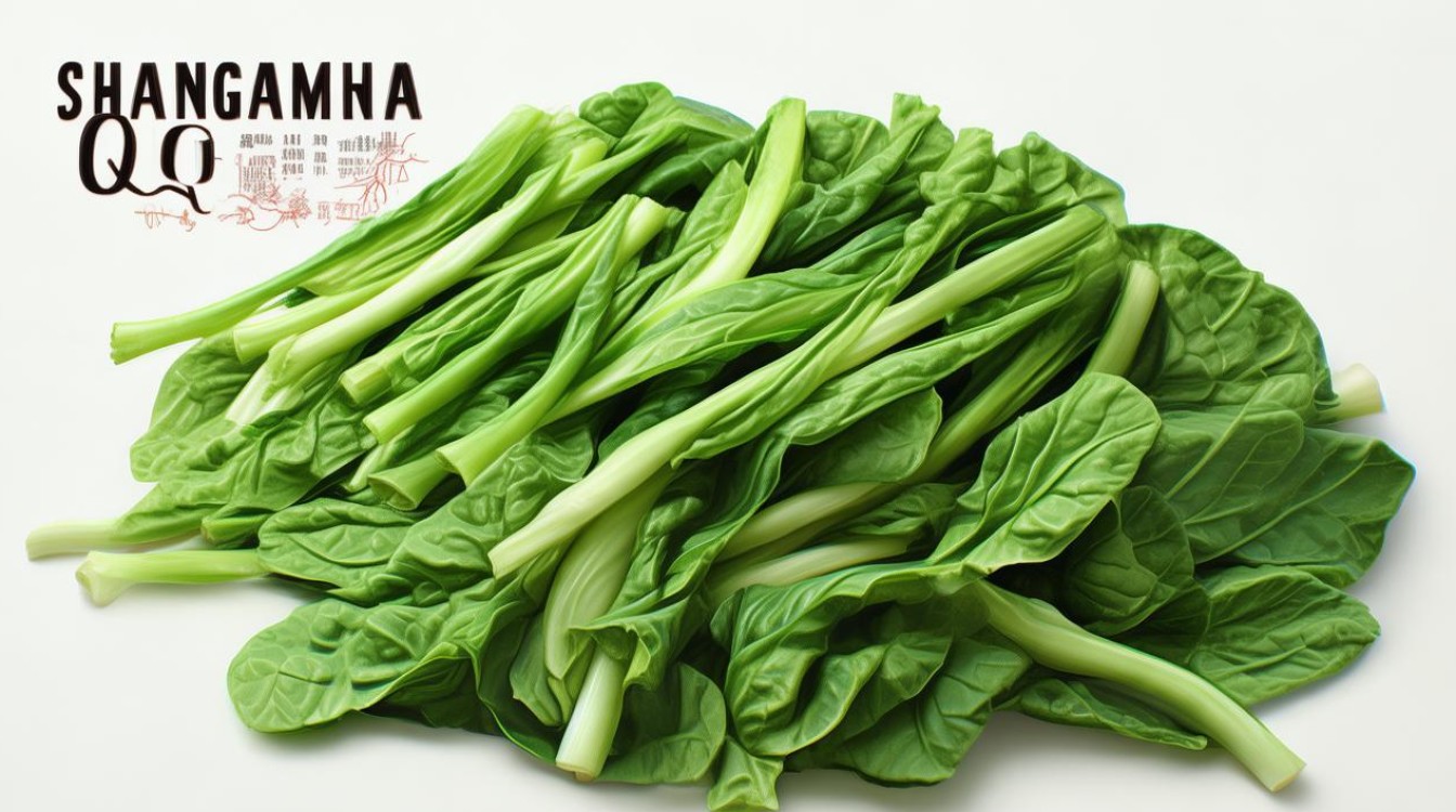 蚝油上海青 蚝油上海青