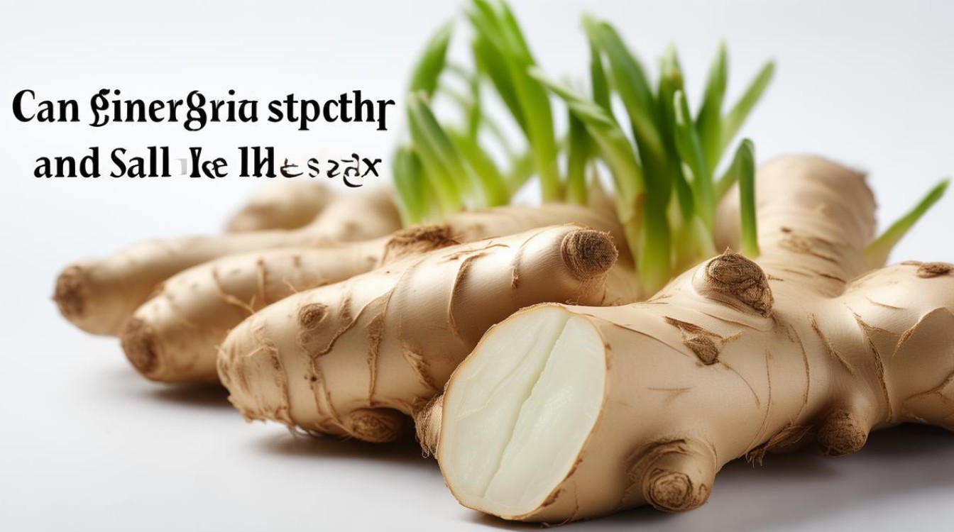 生姜发芽了还能不能吃 生姜发芽了还能不能吃