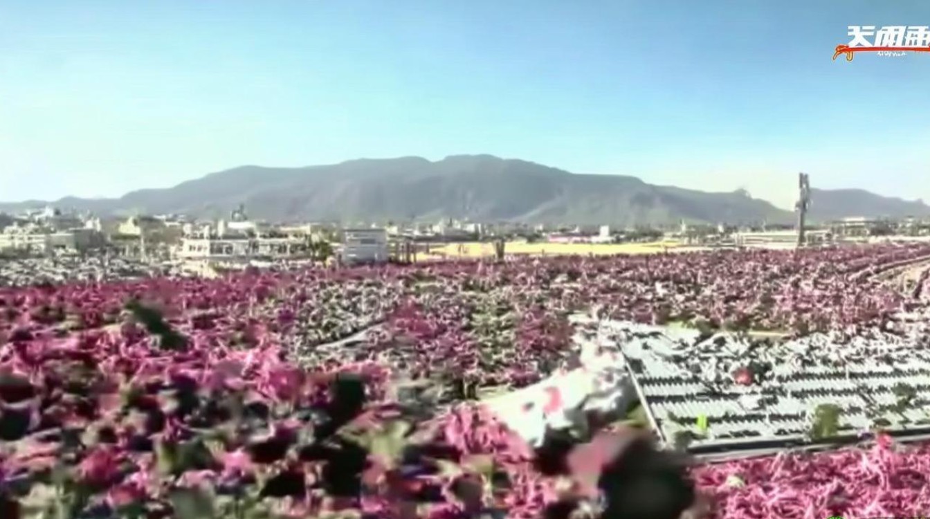 赣州必去的景点 赣州必去的景点